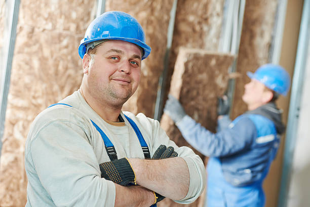 Best Best Insulation Companies  in Pierz, MN